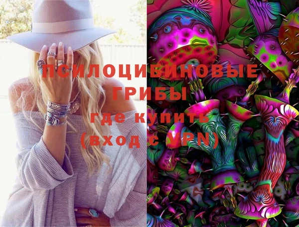 крисы Кулебаки