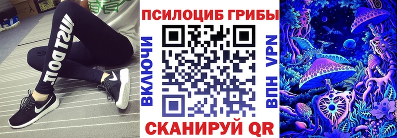 Псилоцибиновые грибы Psilocybe  Аргун 