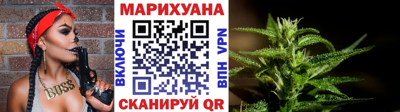 Конопля план Аргун
